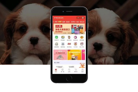 福田小程序定制開發(fā)有哪些好處？要多少錢？