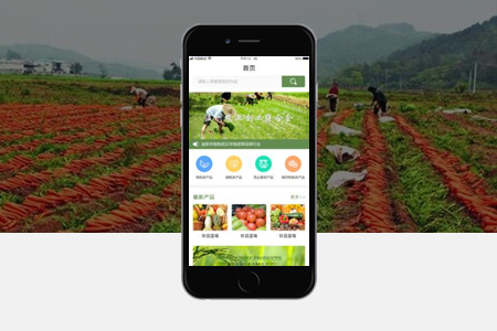 屯溪APP開發(fā)流程及價格費(fèi)用預(yù)算