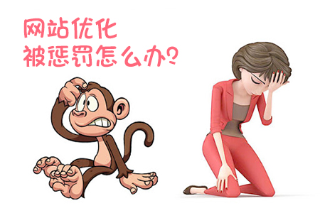 網(wǎng)站優(yōu)化如何辨別被搜索引擎懲罰？