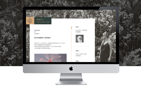 安亭網站推廣,嘉定網站優(yōu)化